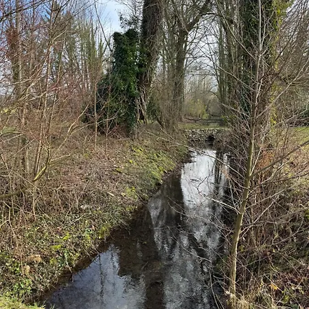 Le Nichoir Du Marais - Maison Avec Jacuzzi * Ponts-et-Marais